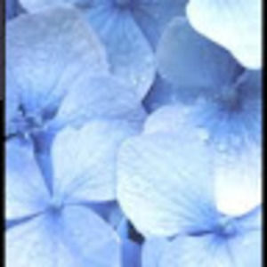 Meet your Posher, Arwa